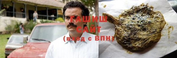 трава Коряжма