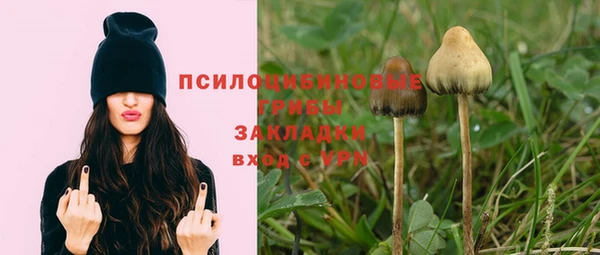 трава Коряжма