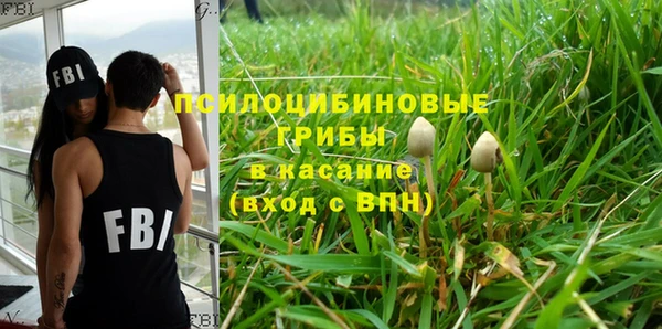 трава Коряжма