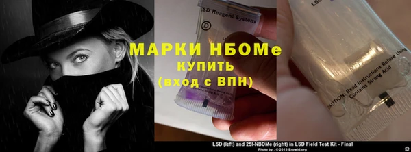трава Коряжма