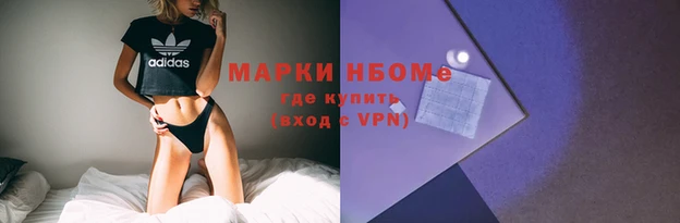 ешки Корсаков