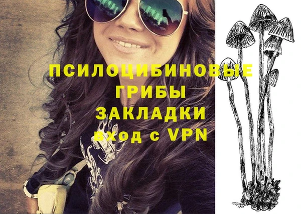 трава Коряжма