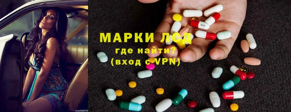 ешки Корсаков