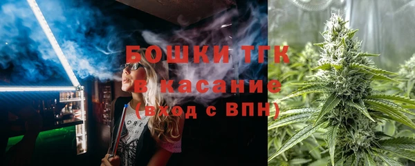 трава Коряжма