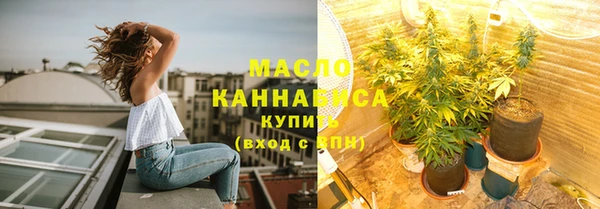 трава Коряжма