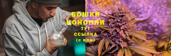 ешки Корсаков