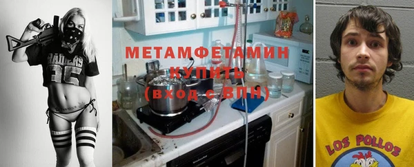 трава Коряжма