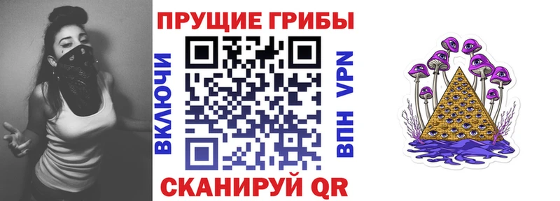 Псилоцибиновые грибы GOLDEN TEACHER  наркота  Фокино 